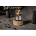 Настольный Биокамин Catterheim В6 Оригинал